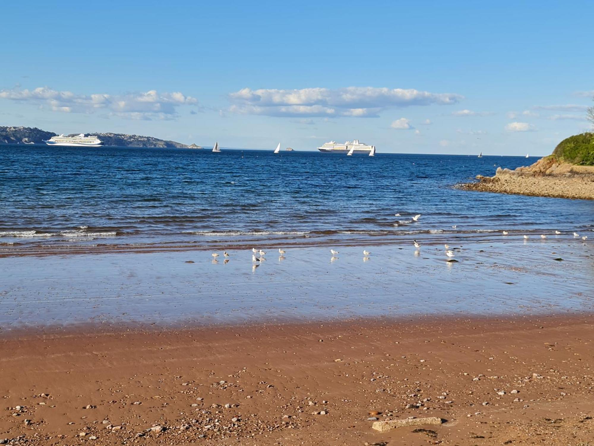 Seaspot Is A 1 Bed Annex Ground Floor Apartment At Stunning Broadsands Beach Nr Brixham! Churston Ferrers Exterior photo